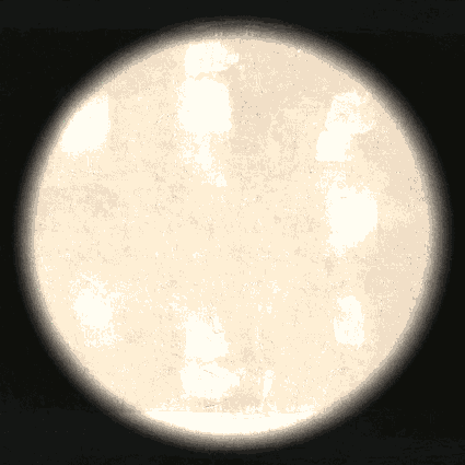 pt_hor_fov.gif