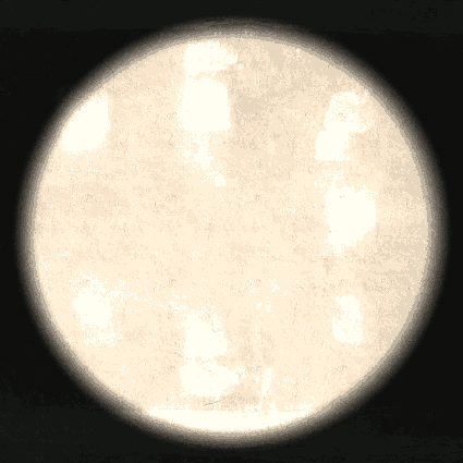 pt_ver_fov.gif